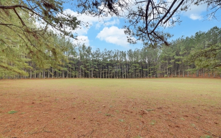 Ga Mountain Luxury Home With Acreage On The Chestatee River - image 49