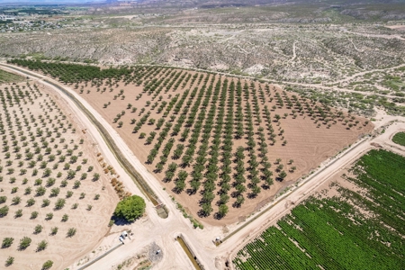 Large Pecan Farm for Sale in Hatch, New Mexico - image 22