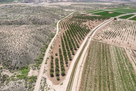 Large Pecan Farm for Sale in Hatch, New Mexico - image 24