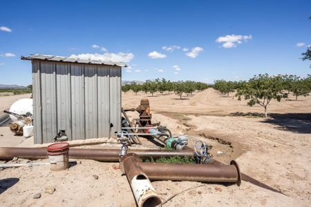Large Pecan Farm for Sale in Hatch, New Mexico - image 33