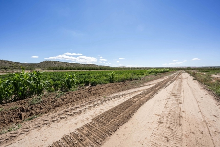 Large Pecan Farm for Sale in Hatch, New Mexico - image 47