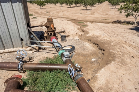Large Pecan Farm for Sale in Hatch, New Mexico - image 34