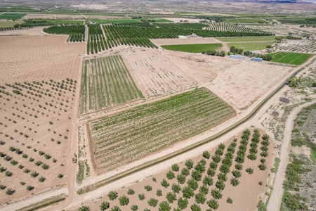 Large Pecan Farm for Sale in Hatch, New Mexico - image 14