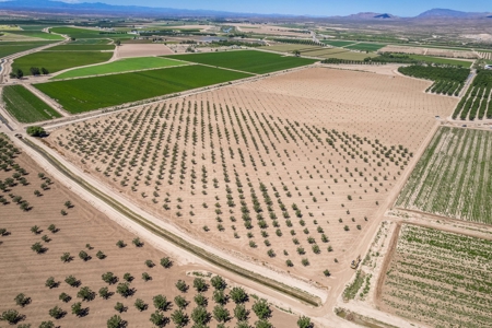Large Pecan Farm for Sale in Hatch, New Mexico - image 13