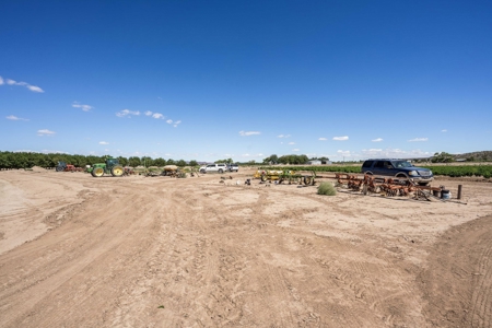 Large Pecan Farm for Sale in Hatch, New Mexico - image 49