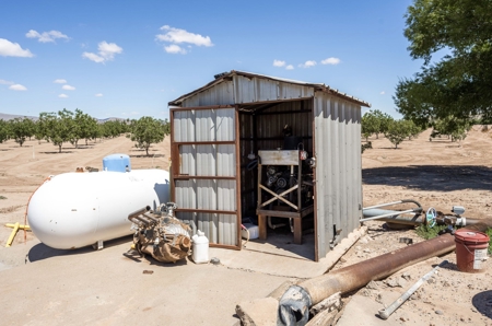 Large Pecan Farm for Sale in Hatch, New Mexico - image 32