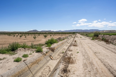 Large Pecan Farm for Sale in Hatch, New Mexico - image 29
