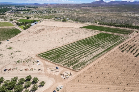Large Pecan Farm for Sale in Hatch, New Mexico - image 21