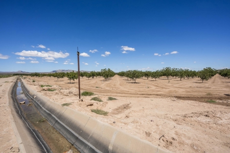 Large Pecan Farm for Sale in Hatch, New Mexico - image 31