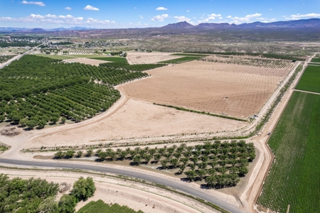 Large Pecan Farm for Sale in Hatch, New Mexico - image 4