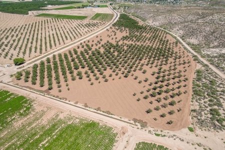 Large Pecan Farm for Sale in Hatch, New Mexico - image 23