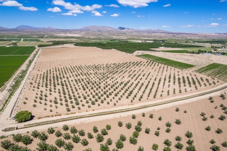 Large Pecan Farm for Sale in Hatch, New Mexico - image 25
