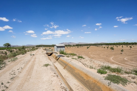 Large Pecan Farm for Sale in Hatch, New Mexico - image 30