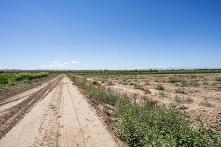Large Pecan Farm for Sale in Hatch, New Mexico - image 46