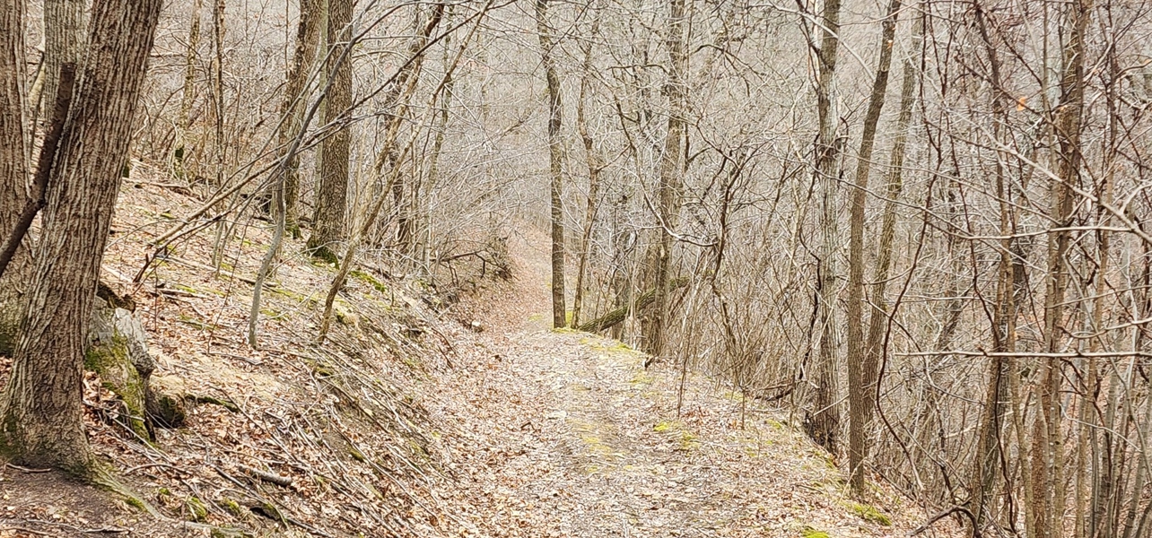 Groomed Trails 100+ Acres Shared Land