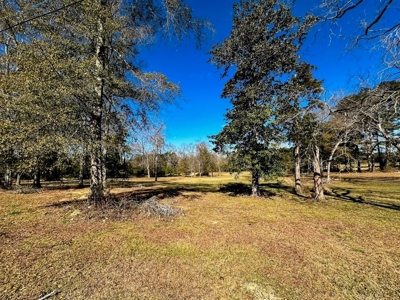 Prime 2-Acre Commercial Lot in Summit, MS - image 6