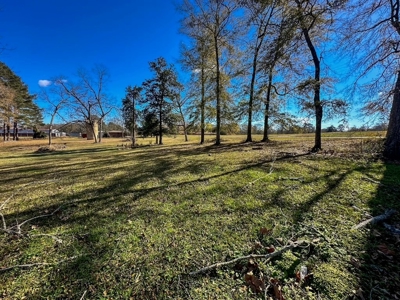Prime 2-Acre Commercial Lot in Summit, MS - image 5