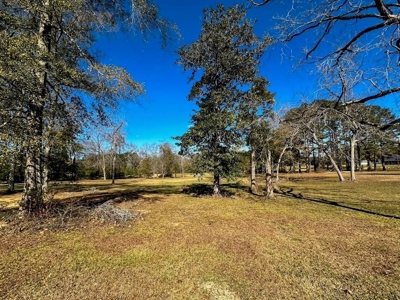 Prime 2-Acre Commercial Lot in Summit, MS - image 1