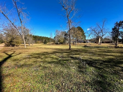 Prime 2-Acre Commercial Lot in Summit, MS - image 2