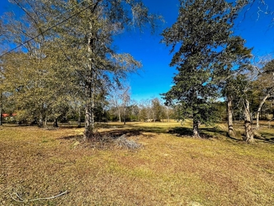 Prime 2-Acre Commercial Lot in Summit, MS - image 3