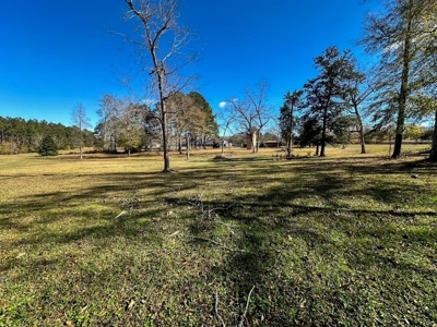 Prime 2-Acre Commercial Lot in Summit, MS - image 7