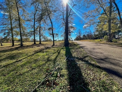 Prime 2-Acre Commercial Lot in Summit, MS - image 4