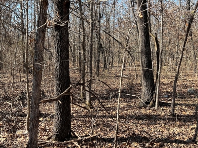 Land for Sale in the Northern Arkansas Ozarks - image 7