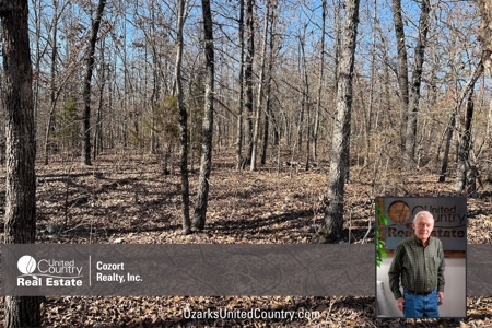 Land for Sale in the Northern Arkansas Ozarks - image 1