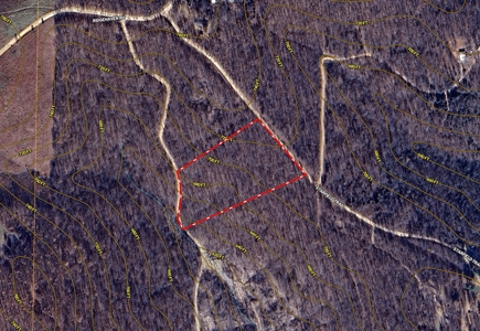 Land for Sale in the Northern Arkansas Ozarks - image 2