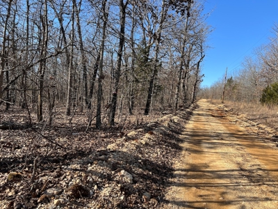 Land for Sale in the Northern Arkansas Ozarks - image 4