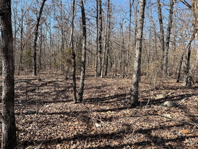 Land for Sale in the Northern Arkansas Ozarks - image 5