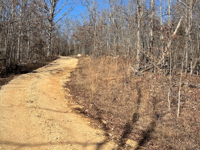 Land for Sale in the Northern Arkansas Ozarks - image 8