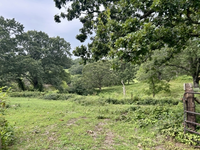 Large home with land for sale near town. Ava, Mo - image 4