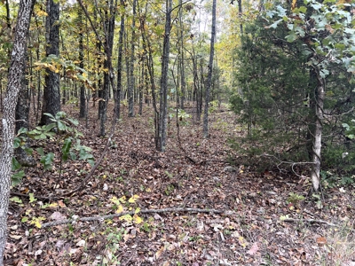 Land for Sale in the Oregon County Ozarks - image 4