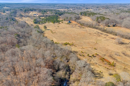 49+/- Acres of Beautiful Pasture with Two Ponds and a creek! - image 7