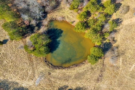 49+/- Acres of Beautiful Pasture with Two Ponds and a creek! - image 12