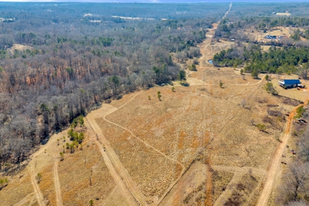 49+/- Acres of Beautiful Pasture with Two Ponds and a creek! - image 5