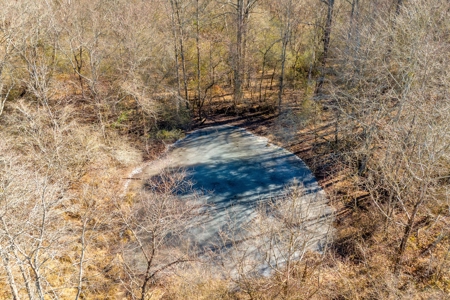 49+/- Acres of Beautiful Pasture with Two Ponds and a creek! - image 29