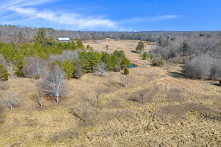 49+/- Acres of Beautiful Pasture with Two Ponds and a creek! - image 13