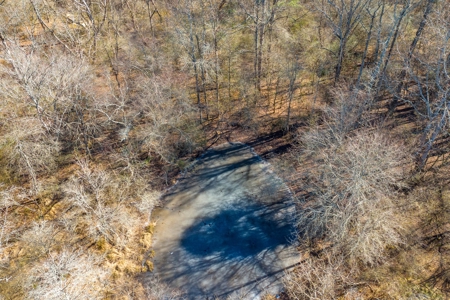 49+/- Acres of Beautiful Pasture with Two Ponds and a creek! - image 10