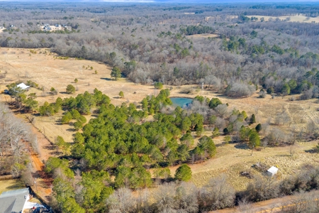 49+/- Acres of Beautiful Pasture with Two Ponds and a creek! - image 3