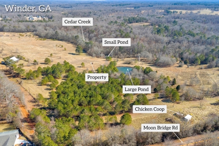 49+/- Acres of Beautiful Pasture with Two Ponds and a creek! - image 4