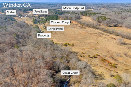 49+/- Acres of Beautiful Pasture with Two Ponds and a creek! - image 8