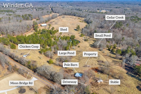 49+/- Acres of Beautiful Pasture with Two Ponds and a creek! - image 2