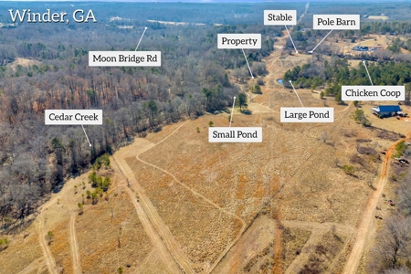 49+/- Acres of Beautiful Pasture with Two Ponds and a creek! - image 6