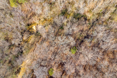 49+/- Acres of Beautiful Pasture with Two Ponds and a creek! - image 34