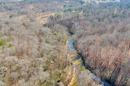 49+/- Acres of Beautiful Pasture with Two Ponds and a creek! - image 17