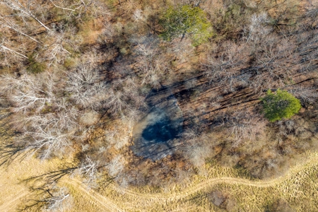49+/- Acres of Beautiful Pasture with Two Ponds and a creek! - image 11