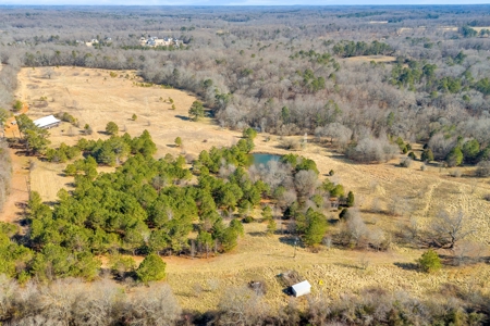 49+/- Acres of Beautiful Pasture with Two Ponds and a creek! - image 24