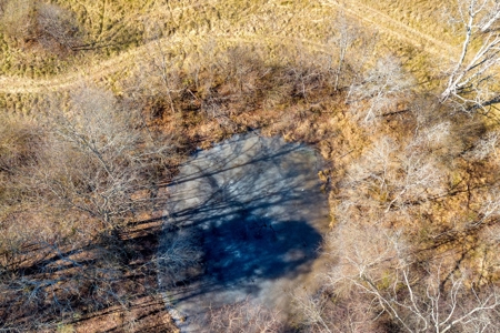 49+/- Acres of Beautiful Pasture with Two Ponds and a creek! - image 28